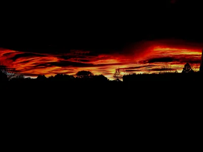 Leithfield - Photo 4