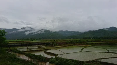 Que Phong - Photo 2