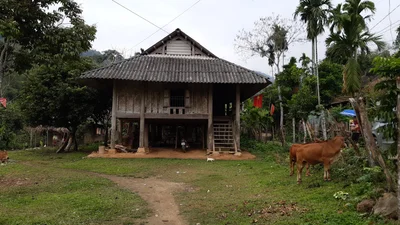 Que Phong - Photo 5