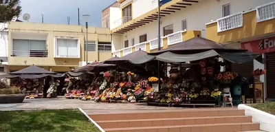 Loja - Photo 3