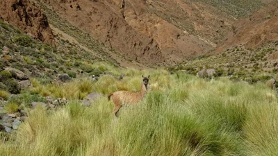 La Poma - Photo 5