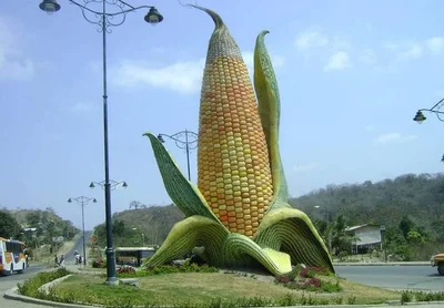 Jipijapa - Photo 5