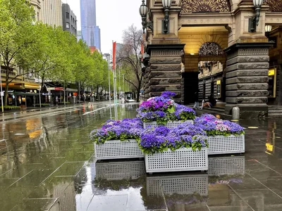 Melbourne - Photo 4