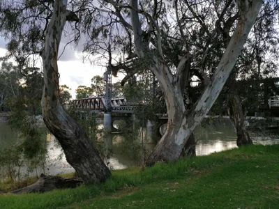 Swan Hill - Photo 3