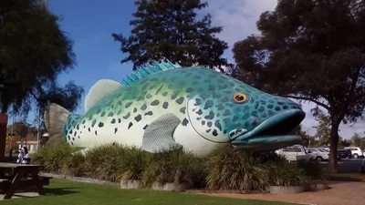 Swan Hill - Photo 5