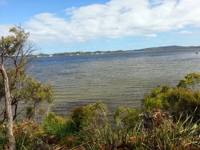 Walpole - Photo 3