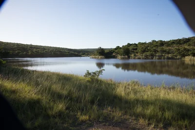 Mpongo Private Game Reserve - Photo 2