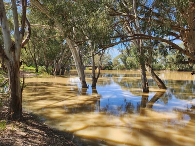 Wilcannia - Photo 5