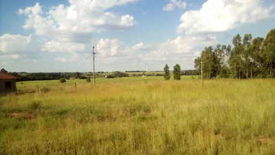 Rayton - Photo 4