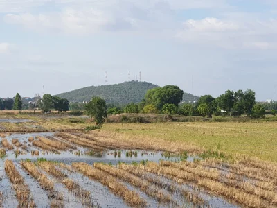 Roluos - Photo 2