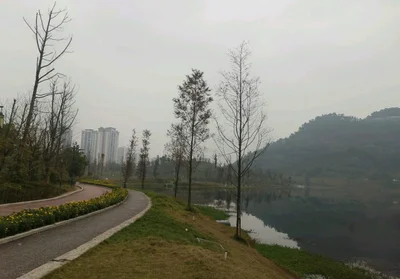 Yibin - Photo 2