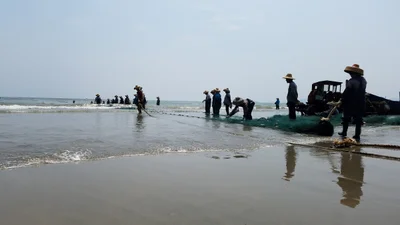 Yangxi County - Photo 3