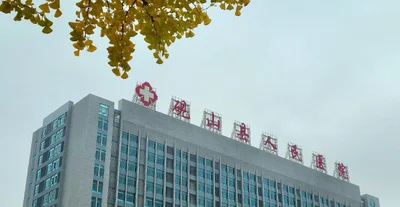 Wenshan City - Photo 4
