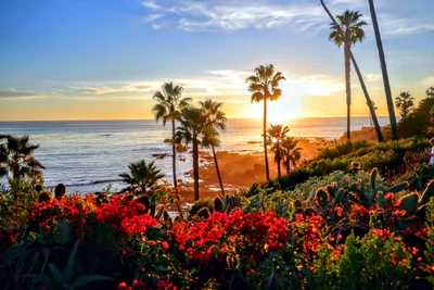 Laguna Beach - Photo 2