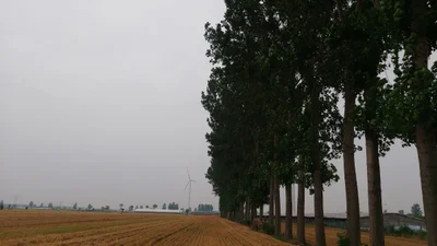 Minquan County - Photo 2