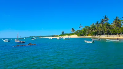 Inhaca Island - Photo 5