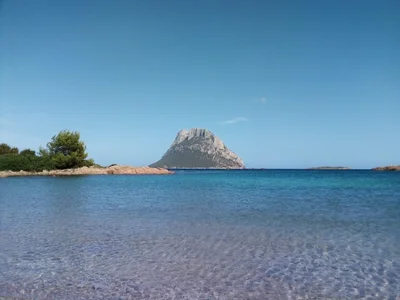 Loiri Porto San Paolo - Photo 3