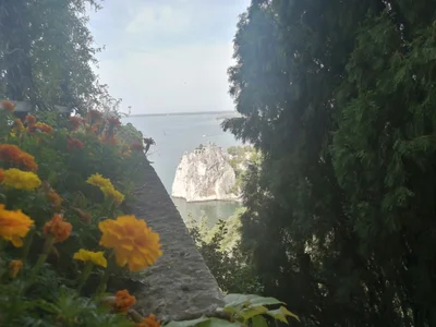 Duino Aurisina - Photo 4