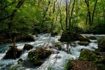 Oirase - Photo 2