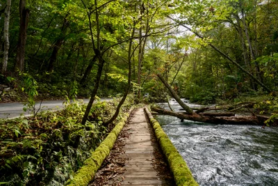 Oirase - Photo 4