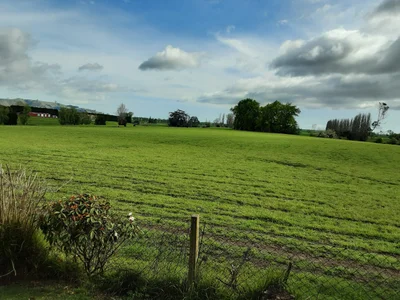 Te Puke - Photo 4