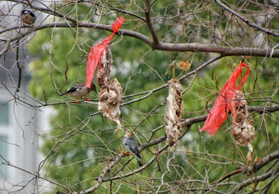 Lu'an - Photo 4