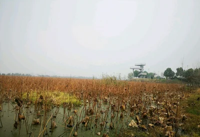 Lu'an - Photo 5