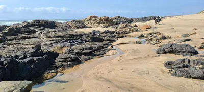 Port Edward - Photo 4