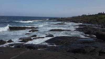 Port Edward - Photo 5