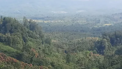 Sungai Penuh - Photo 2