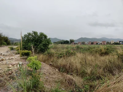 Longchuan - Photo 2