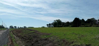 Zelaya - Photo 5