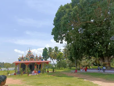 Turuvekere - Photo 2