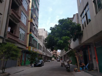 Lianjiang - Photo 5