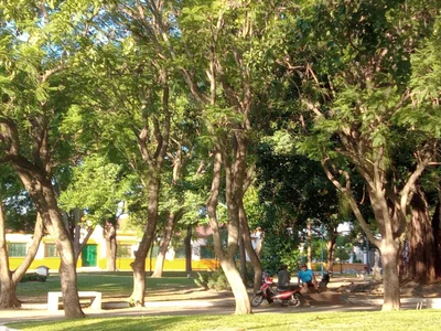 Oran - Photo 2