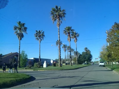 Lezama - Photo 2