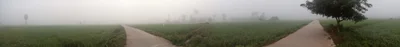 Khok Pho - Photo 3