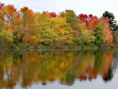 Pocono Mountains Region - Photo 3