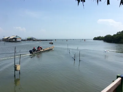 Cienaga - Photo 3
