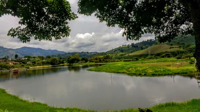 Chinchina - Photo 3