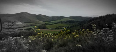 Langeberg Local Municipality - Photo 4