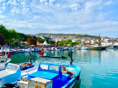 Dikili - Photo 2