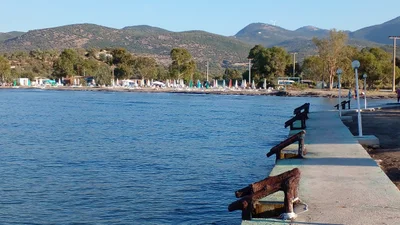 Dikili - Photo 3