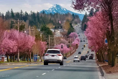 Marysville - Photo 4