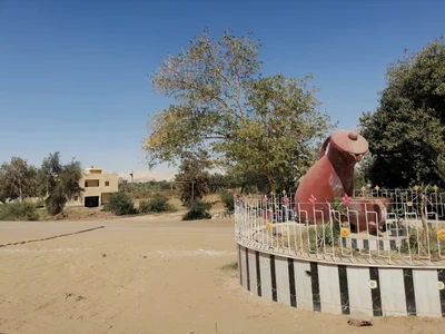 El Farafra Oasis - Photo 3