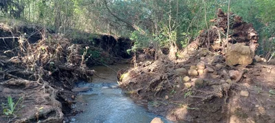 Steve Tshwete Local Municipality - Photo 3