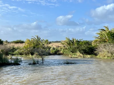 Mtubatuba Local Municipality - Photo 2
