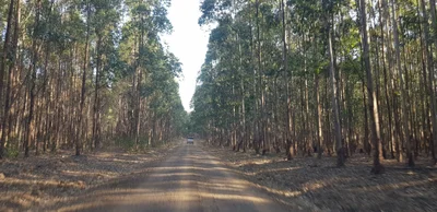 Mtubatuba Local Municipality - Photo 4