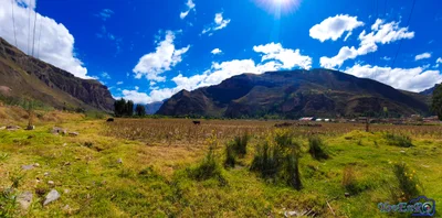 Lamay - Photo 3