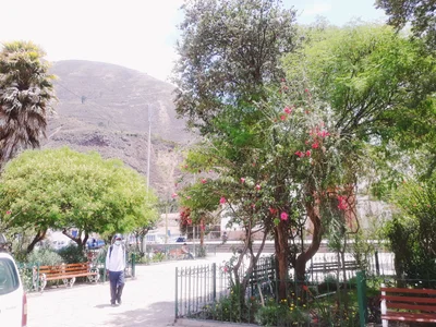 Lamay - Photo 5